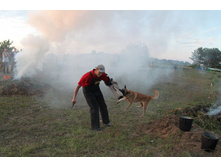 ������ ������ 334.jpg