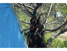 ������ ������ 366.jpg