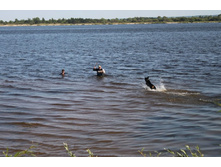 ������ ������ 392.jpg