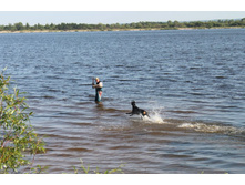 ������ ������ 429.jpg