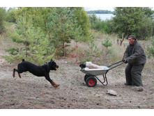 ������ 398.jpg