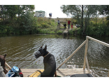 ������ 012.jpg