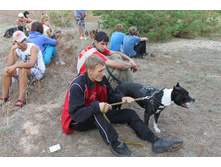 ������ 030.jpg