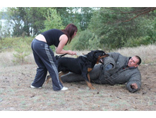 ������ 064.jpg