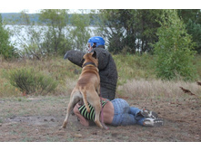 ������ 111.jpg