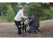 ������ 137.jpg