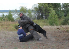 ������ 142.jpg