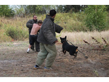 ������ 168.jpg