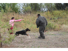 ������ 184.jpg