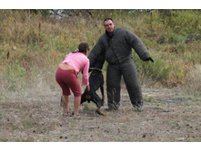 ������ 201.jpg