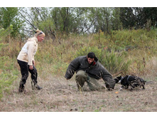 ������ 224.jpg