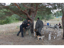 ������ 242.jpg