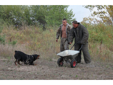 ������ 301.jpg