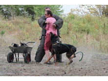 ������ 329.jpg