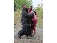 ������ 330.jpg