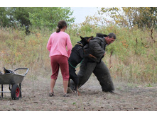 ������ 347.jpg