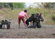 ������ 350.jpg