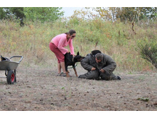 ������ 353.jpg