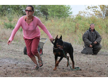 ������ 359.jpg