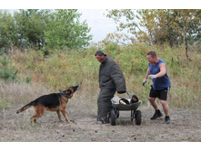 ������ 380.jpg