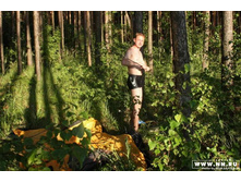 ������ ������� ��������� �������