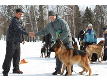 �������� ������ 245.jpg