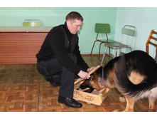 �������� ������ 017.jpg