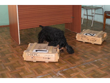 �������� ������ 023.jpg