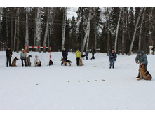 �������� ������ 045.jpg