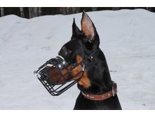 �������� ������ 059.jpg