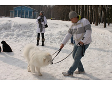 �������� ������ 099.jpg