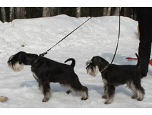 �������� ������ 106.jpg