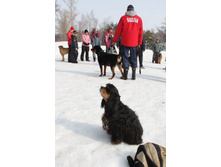 �������� ������ 127.jpg