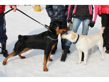 �������� ������ 138.jpg