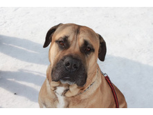 �������� ������ 144.jpg