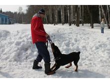 �������� ������ 150.jpg