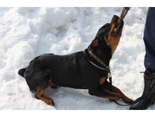 �������� ������ 156.jpg