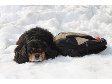 �������� ������ 163.jpg