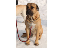 �������� ������ 169.jpg