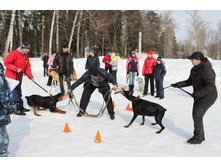 �������� ������ 176.jpg