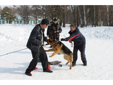 �������� ������ 194.jpg