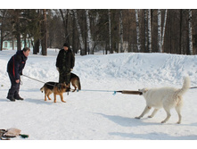 �������� ������ 199.jpg