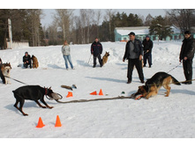 �������� ������ 201.jpg