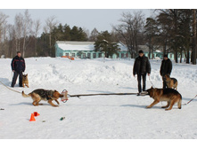 �������� ������ 208.jpg