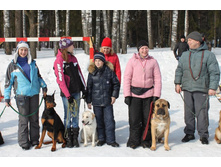 �������� ������ 216.jpg