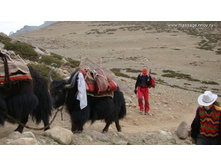 ������ ������� ����... ��� - ���� ������������ �������...