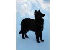 ������ ������ 2012 248.jpg