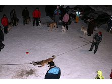 ������ ������ 2012 039.jpg