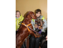 ������ ������ 2012 118.jpg