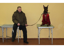 ������ ������ 2012 132.jpg